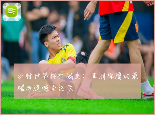 沙特世界杯征战史:亚洲绿鹰的荣耀与遗憾全记录