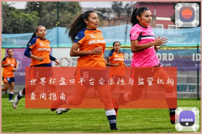 世界杯盘口平台合法性与监管机构查询指南