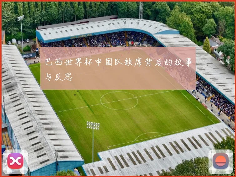 巴西世界杯中国队缺席背后的故事与反思