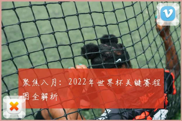 聚焦八月:2022年世界杯关键赛程图全解析