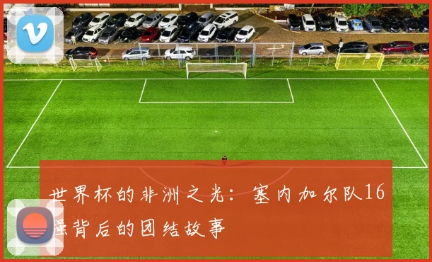 世界杯的非洲之光:塞内加尔队16强背后的团结故事