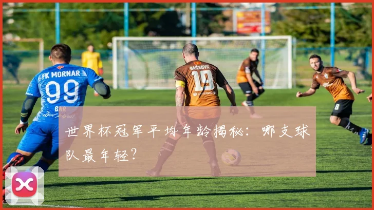 世界杯冠军平均年龄揭秘：哪支球队最年轻？