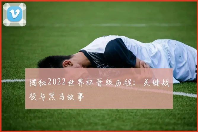 揭秘2022世界杯晋级历程：关键战役与黑马故事