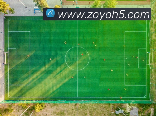 beat365在线登录入口平台生态图